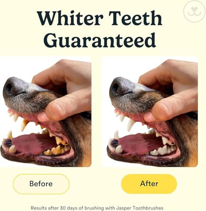 Jasper Dog Toothbrush, 360 Dog Tooth Brushing Kit, Finger Toothbrush, Cat Tooth Brush, Teeth Cleaning, Pet Tooth Brush for Small & Large Pets, Pet Toothpaste Not Included, 4-Pack Clear - color: Clear (4-pack)