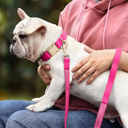 PET ARTIST Soft PU Leather Dog Collar, Bright & Stylish Hot Pink Dog Collar Girl with Quick Release Rose Metal Buckle, Nylon Padded Durable Pet Collars Adjustable for Small Dogs, Neck Fit 9-14" - color: Hot Pink, size: S: Fit 9-14" Neck(10-20 lbs)