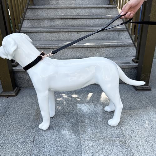 Dog Leash 6ft Long,Traffic Padded Two Handle,Heavy Duty,Double Handles Lead for Control Safety Training,Leashes for Large Dogs or Medium Dogs,Dual Handles Leads (Black, 25MM*6FT) - color: Black