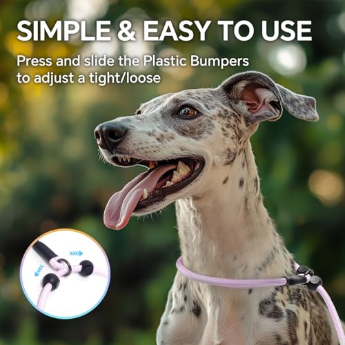 QQPETS Adjustable Slip Lead Dog Leash, Hands Free Waist Leash for Dog Walking, Reflective Training Lead with 360° Swivel Anti-Tangle, 4-7 ft Length for All Breeds - color: Color Gradient
