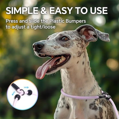QQPETS Adjustable Slip Lead Dog Leash, Hands Free Waist Leash for Dog Walking, Reflective Training Lead with 360° Swivel Anti-Tangle, 4-7 ft Length for All Breeds - color: Color Gradient