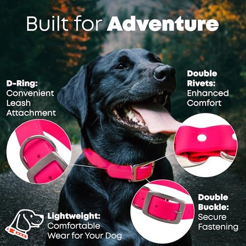 Regal Dog Products Medium Pink Dog Collar with Heavy Duty Double Buckle & D Ring | Vinyl Coated, Custom Fit, Adjustable Biothane Dog Collar | Chew Resistant Waterproof Center-Ring Collar for Dogs - color: Pink, size: Medium