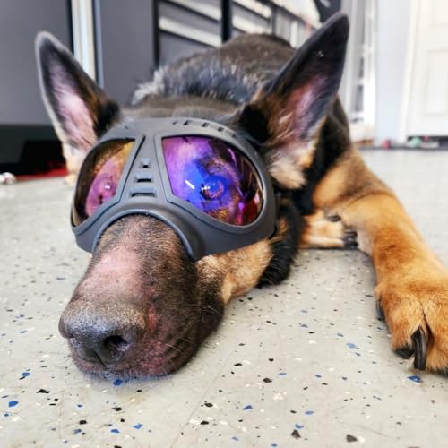 Namsan Clear Dog Goggles for Large Dogs, Wide Snout & Soft Frame, Tactical Driving Sunglasses for Dogs Medium to Large Breed, Anti-UV Dog Eye Protection, Windproof Dustproof, Adjustable, Clear Blue - color: (Large)Clear Blue Lens