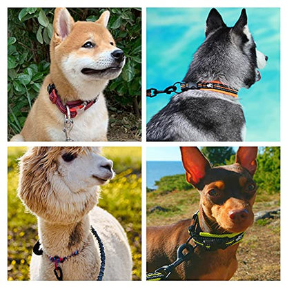 Reflective Dog Collar Neoprene Padded Dog Collar Nylon Pet Collar Adjustable Dog Collar for Small Medium Dogs Puppy Collar Blue Pink XS - size: XS 11.8-13.8IN