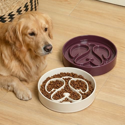 Slow Feeder Dog Bowl, Ceramic Dog Bowls 1.5 Cup Slow Feeding Bowl for Small and Medium Breed, Puzzle Dog Food Bowl for Fast Eater (Purple) - color: Purple