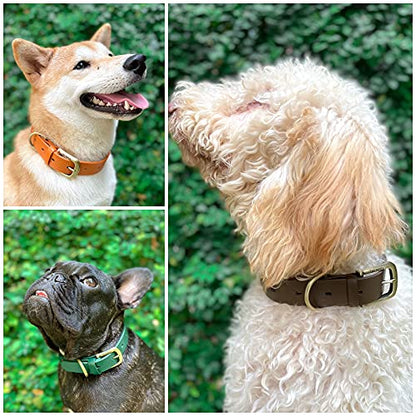 Tuff Pupper Classic Heavy Duty Dog Collar | 10x Stronger Than Leather | 100% Waterproof & Odor Proof Dog Collar | Tough Rust-Proof All Metal Hardware - color: Dark Brown