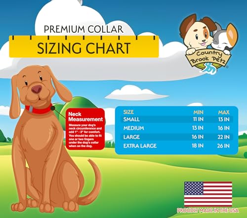 Country Brook Petz - Premium Nylon Dog Collar with Metal Buckle for Small Medium Large Breeds - 10+ Warm Colors (Medium, 3/4 Inch, Red)