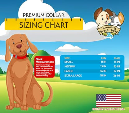 Country Brook Petz - Premium Nylon Dog Collar with Metal Buckle for Small Medium Large Breeds - 10+ Warm Colors (Medium, 3/4 Inch, Red)