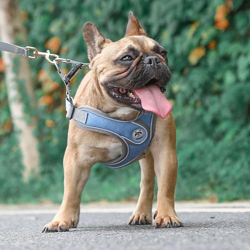 Medium Dog Harness and Leash Set,No Pull Adjustable Step in Soft Mesh Vest Harness,Easy Walk Reflective Pet Harness with Padded Handle for Walking Training Small Medium Large Dogs and Cats (Blue, M) - color: Blue, size: M