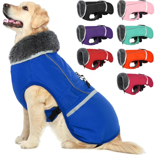 QBLEEV Warm Dog Coat - Reflective Dog Jacket, Waterproof Winter Coat with Turtleneck & Thick Fleece Lining for Small Medium Large Dogs - Snowsuit Christmas Pet Apparel - color: Blue, size: Small