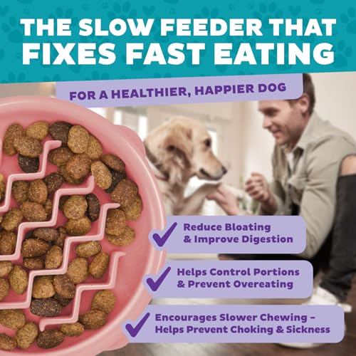 Outward Hound Fun Feeder Slo Bowl – Small 3/4-Cup Capacity,Slow Feeding,Small Dogs,Puppies & Cats,Non-Slip,Pink,Wave Pattern,(Pack of 12) - color: Pink, size: Small (Pack of 12)