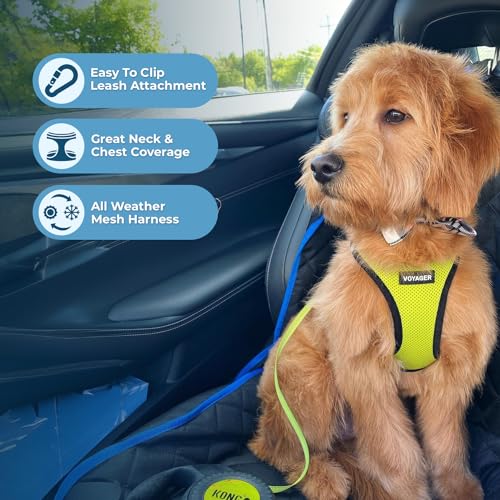 Voyager Step-in Air All Weather Mesh Harness and Reflective Dog 5 ft Leash Combo with Neoprene Handle, for Small, Medium and Large Breed Puppies by Best Pet Supplies - Green, XX-Small - color: Leash Harness Set (Lime), size: XXS (Chest: 11.5 - 13" * Fit C