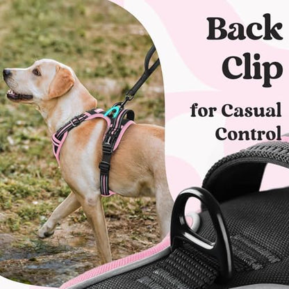rabbitgoo Dog Harness Small Sized, No Pull Easy On & Off with 3 Buckles Pet Harness, Adjustable Soft Walking Vest with 2 Clips and Handle, Reflective for Small Dogs, Black & Pink, S - color: Black & Pink, size: Small