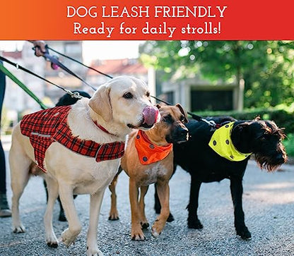 SPOT THE DOG! Reflective Dog Vest - High Visibility Safety Dog Accessories, Fluorescent Dog Apparel for Walking, Hiking & Camping, Hunting (Blaze Orange, Medium) - size: Medium