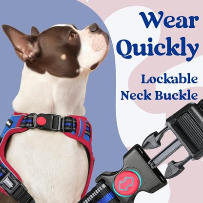 rabbitgoo Dog Harness Small Sized, No Pull Easy On & Off with 3 Buckles Pet Harness, Adjustable Soft Walking Vest with 2 Clips and Handle, Reflective for Small Dogs, Royal Blue & Red, S - color: Royal Blue & Red, size: Small