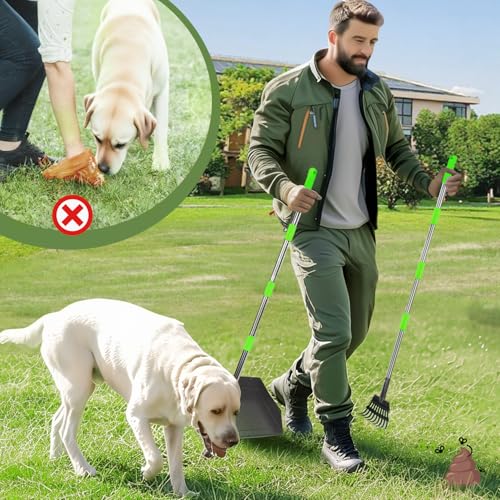 T2Y Extra Long Handle Dog Pooper Scooper for Large Dogs, Heavy Duty Metal Poop Scooper for Yard, Stainless Steel Dog Poop Rake and Tray Set, Rust-Proof Pet Waste Removal for Grass/Gravel/Dirt - size: Rake & Large Tray-Green