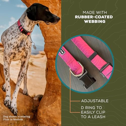 Wilderdog Waterproof Dog Collar - Repels Water & Dirt - Medium 13in -18in - Plum - color: Plum, size: Medium