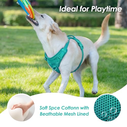 No Pull Dog Harness, Puppy Vest with Front Clip for Small Medium Large Sized Dog(MARRS Green,M) - color: MARRS Green, size: M(Neck:18.5-25.6", Chest:20.9-30.7")