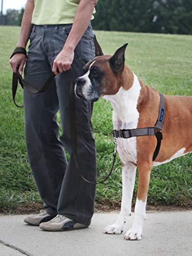 PetSafe Easy Walk Deluxe Dog Harness, No Pull Dog Harness – Perfect for Leash & Harness Training – Stops Pets from Pulling and Choking on Walks – Large, Steel - color: Steel, size: Large (Pack of 1)