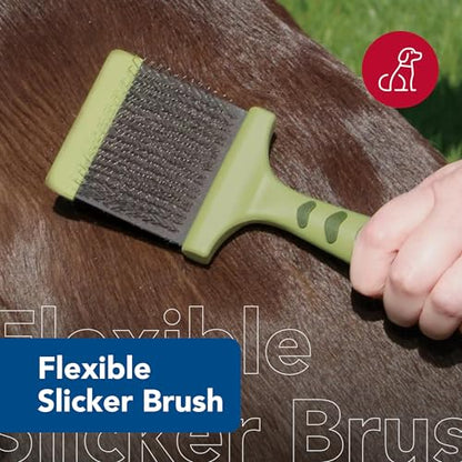 Coastal Pet Safari Dog Flexible Slicker Brush - Dog Brush for Shedding - Undercoat Rake & Grooming Tools for Small & Medium Pets - Medium - size: Medium
