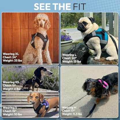 Gooby Soft Mesh X Step in Dog Harness - Yellow, X-Small - color: Yellow, size: X-Small