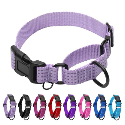 Martingale Dog Collar, Reflective No Pull Training Collar with Quick Release Buckle, Adjustable Heavy Duty Nylon Choker Collars for S M L Dogs (Lavender, M (1" x 15.5"-19.5")) - color: Lavender, size: M (1" x 15.5"-19.5")