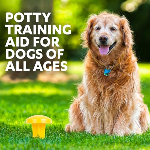 Simple Solution Pee Post Outdoor Dog Training Aid, 13-Inch Pheromone Infused Yard Marking Stake for Puppy Potty Training, Housebreaking, Lawn and Garden Dog Pee Attractant, Reusable Potty Helper - size: 13 INCH