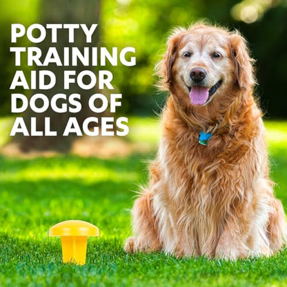 Simple Solution Pee Post Outdoor Dog Training Aid, 13-Inch Pheromone Infused Yard Marking Stake for Puppy Potty Training, Housebreaking, Lawn and Garden Dog Pee Attractant, Reusable Potty Helper - size: 13 INCH