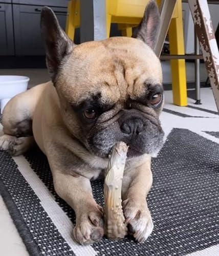 Nylabone Power Chew Antler Alternative Nylon Chew Toy for Dogs, Dog Toys for Aggressive Chewers, Venison Flavor, Large/Giant (1 Count) - size: Large