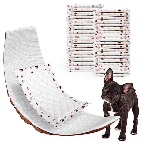MICOOYO Dog Diaper Liners, Dog Diaper Pads, Disposable Dogs Booster Pads for Puppy, Belly Band Dogs Diapers Liners Male Doggie Diapers Inserts (Paws, M, 25Count) - size: M 25Count