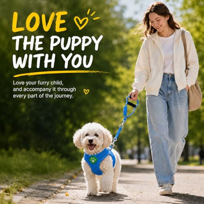 Dog Harness Small Sized and Leash Set, Step in Soft Light Puppy Vest, Breathable Mesh Pet Harness, Adjustable Pet Puppy Harness, Easy Walk Dog Harness, M: Chest 11.8-17.7" - color: Blue, size: M: Chest 11.8-17.7" Leash 3.8 FT