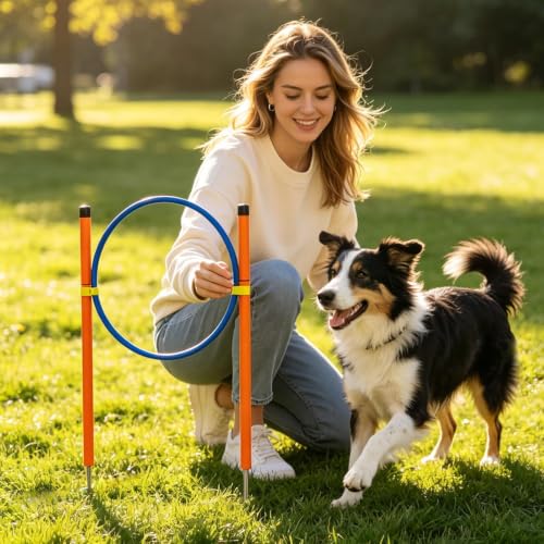 Agility Course for Dogs - Dog Agility Trainer Set with Tunnel, Interactive Training Equipment | Outdoor Exercise and Recreation Gear for Park Garden Beach Field - size: B