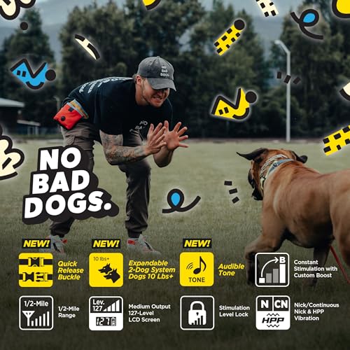 Dogtra E-Collar Tom Davis 280C 2.0 [2025 Edition], Boost & Lock, Waterproof, 1/2-Mile Range Dog Training Collar with Remote, Rechargeable, 127 Levels, Vibration, Bungee, No Bad Dogs Trainers - color: Tom Davis 280C 2.0