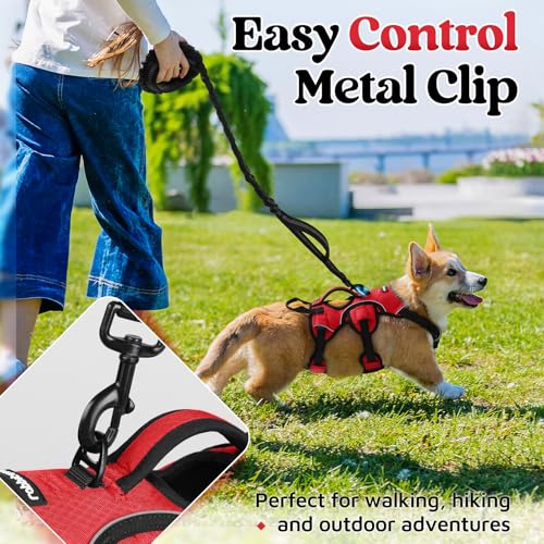 rabbitgoo Escape Proof Dog Harness, Soft Padded Full Body Pet Harness, Reflective Adjustable No Pull Vest with Lift Handle and Leash Clip for Large Dogs Walking Hiking Training, S, Red - color: Red, size: Small (Pack of 1)