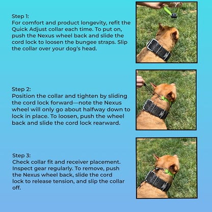 SparkDog 3/4” High Flex Quick Adjust E-Collar Strap Waterproof Replacement Collar Compatible w/SportDOG, Garmin, Dogtra & E-Collar Technologies, Genuine BioThane®-Made in USA (Aqua HF, High Flex) - color: Aqua HF