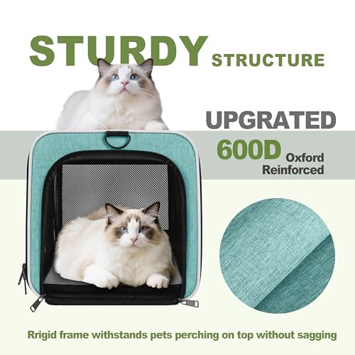 GAPZER Cat Carrier 18"x11"x11" TSA Approved Ventilated Top Open Softsided Pet Air Travel Bag, Small Animal Basic Crate Shih Tzu Dog Kennel Carry Case, 4-Mesh-Side Kitty Carry on up to 20lbs Teal - color: Turquoise