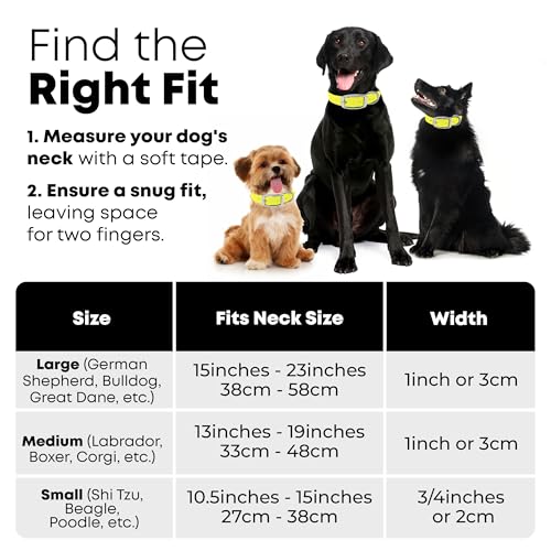 Regal Dog Products Small Yellow Reflective Dog Collar with Custom Engraved Name Plate and Heavy Duty Center Ring | Waterproof Biothane Personalized Dog Collars - Other Sizes for Medium & Large Dogs - color: Yellow, size: Small