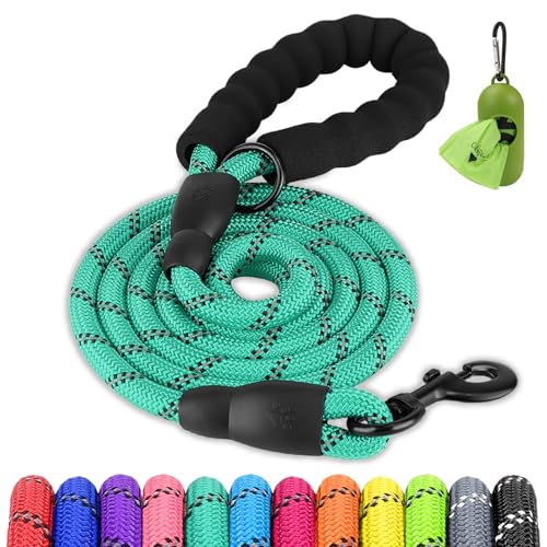 Joytale Dog Leash for Small Dogs, Heavy Duty Nylon Leashes with Comfortable Padded Handle and Highly Reflective Threads, Ideal for Walking and Training, Teal, 5'×3/8'' - color: Turquoise, size: 5FT×3/8'' (0~20 lbs)