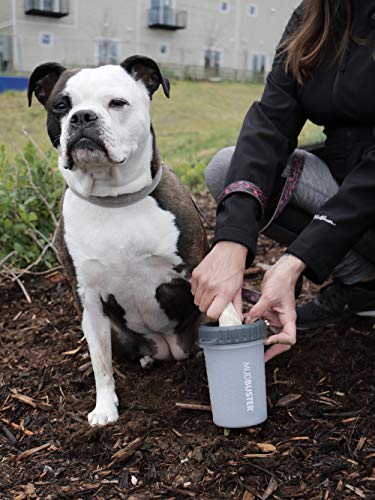Dexas Lidded MudBuster Medium Dog Paw Cleaner, Light Gray, Fits 1.5"-2.5" Wide Paws, Gentle Silicone Bristles for Quick, Easy Cleaning - color: Light Gray, size: Medium with Lid