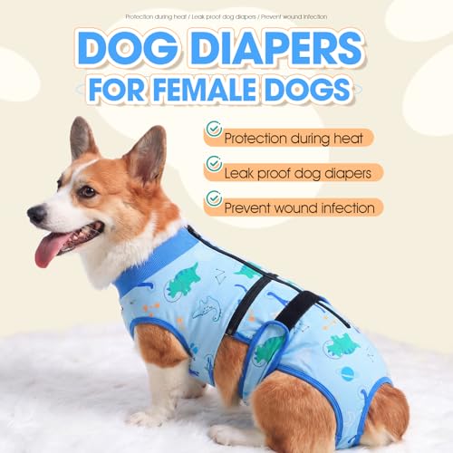 QBLEEV Dog Diapers Overalls, Escape Proof Full Body Male Dog Diapers with Suspenders, Reusable Washable Female Dog Pregnancy Prevention Cover Pants, 2-1Detachable Doggie Onesie Pajamas with Tail Hole - color: Blue, size: XS