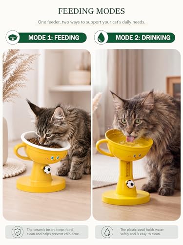 Elevated Cat Bowls - 60° Tilted Small Dogs Cats Water Food Bowl, 7-Level Adjustable Height Raised Cat Bowl for Indoor, Anti-Vomiting Spine Protection, Non-Slip Stand Dishwasher Safe, Yellow - color: Yellow
