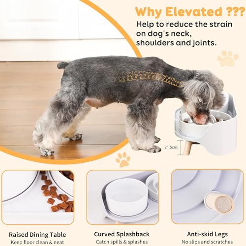 Elevated Slow Feeder Dog Bowls - Ceramic Food and Water Bowl Set with Stand - Raised Pet Dishes for Small and Medium Sized Dogs - color: White