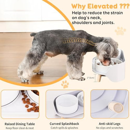 Elevated Slow Feeder Dog Bowls - Ceramic Food and Water Bowl Set with Stand - Raised Pet Dishes for Small and Medium Sized Dogs - color: White