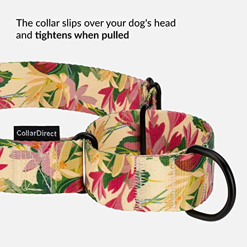 CollarDirect Martingale Dog Collar Heavy Duty Nylon Slip Collars for Small Medium Large Dogs [Nylon, Patterned, Toffee, L, 15"-20"] - color: Toffee, size: Large (Neck Size 15"-20")