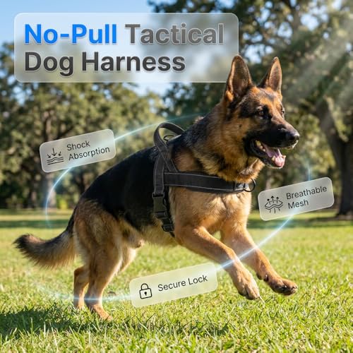 No-Pull Dog Harness with Handle, Adjustable Reflective Pet Vest Tactical Harness for Small Medium Large Dogs Walking Training, Front Clip, Escape Proof & Heavy Duty D-Ring (Green, L) - color: Green, size: L