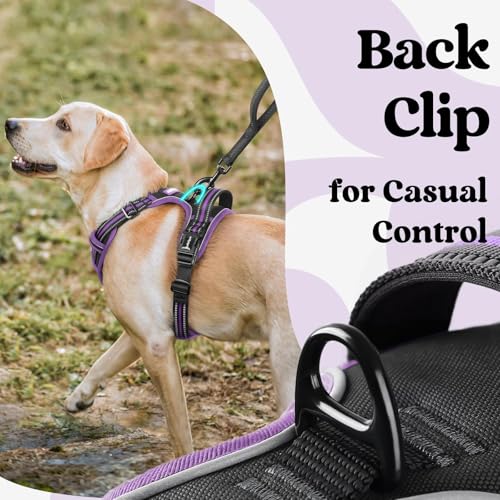 rabbitgoo Dog Harness Small Sized, No Pull Easy On & Off with 3 Buckles Pet Harness, Adjustable Soft Walking Vest with 2 Clips and Handle, Reflective for Small Dogs, Black & Purple, S - color: Black & Purple, size: Small