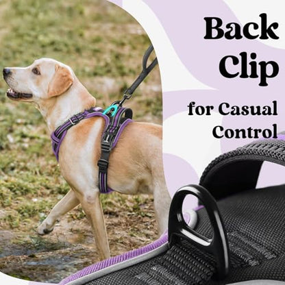 rabbitgoo Dog Harness Small Sized, No Pull Easy On & Off with 3 Buckles Pet Harness, Adjustable Soft Walking Vest with 2 Clips and Handle, Reflective for Small Dogs, Black & Purple, S - color: Black & Purple, size: Small