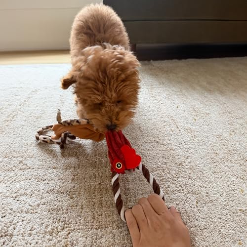 SPOT Skinneeez Tugs Mini Duck Tug Dog Toy – 14" Stuffing-Free Plush Toy with Rope Handle & Squeaker – Durable Tug Toy for Small & Medium Dogs, Moderate Chewers, Assorted Styles - size: 14"