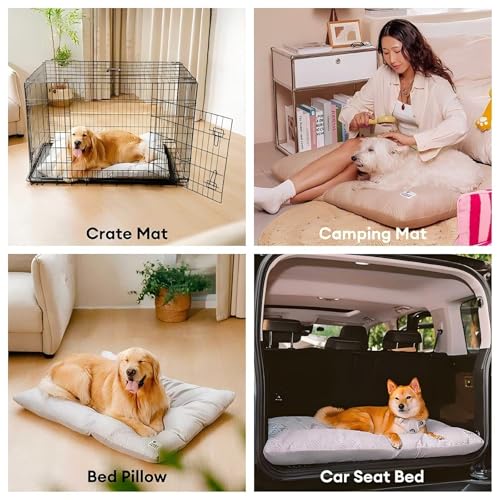 FUNNY FUZZY 42x28 Washable Dog Bed Crate Mat, 2 in1 Pet Pillow Sleeping Bed, Fluffy Deluxe Kennel Mattress for X-Large Dog and Cat,Charcoal Grey,XL,Midnight Blue - color: Blue, size: 42"×28" X-Large