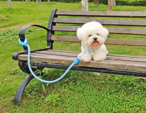 2/3/4/6/10 Foot Reflective Dog Leash Strong Nylon Rope Braided Heavy Duty for Large and Medium Small Dogs Walking Training Leads (Sky Blue, 3ft * 1/2") - color: Sky blue, size: 3ft * 1/2"